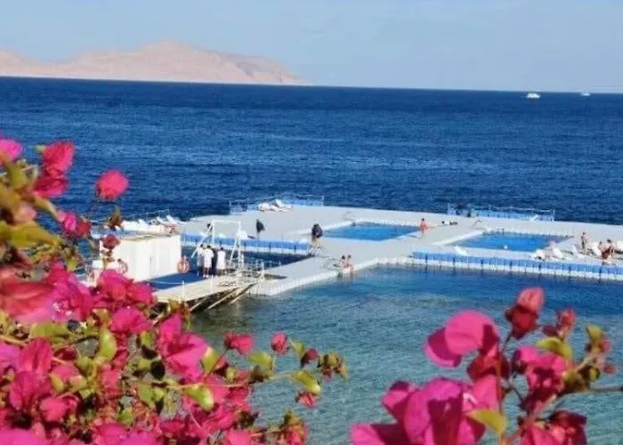 Come2sharm At 5 Star With Direct Access 3* Charm el-Cheikh